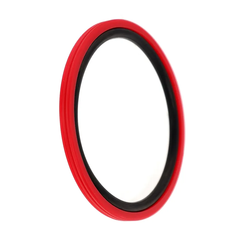 RPW Тип Glyd Ring Seal